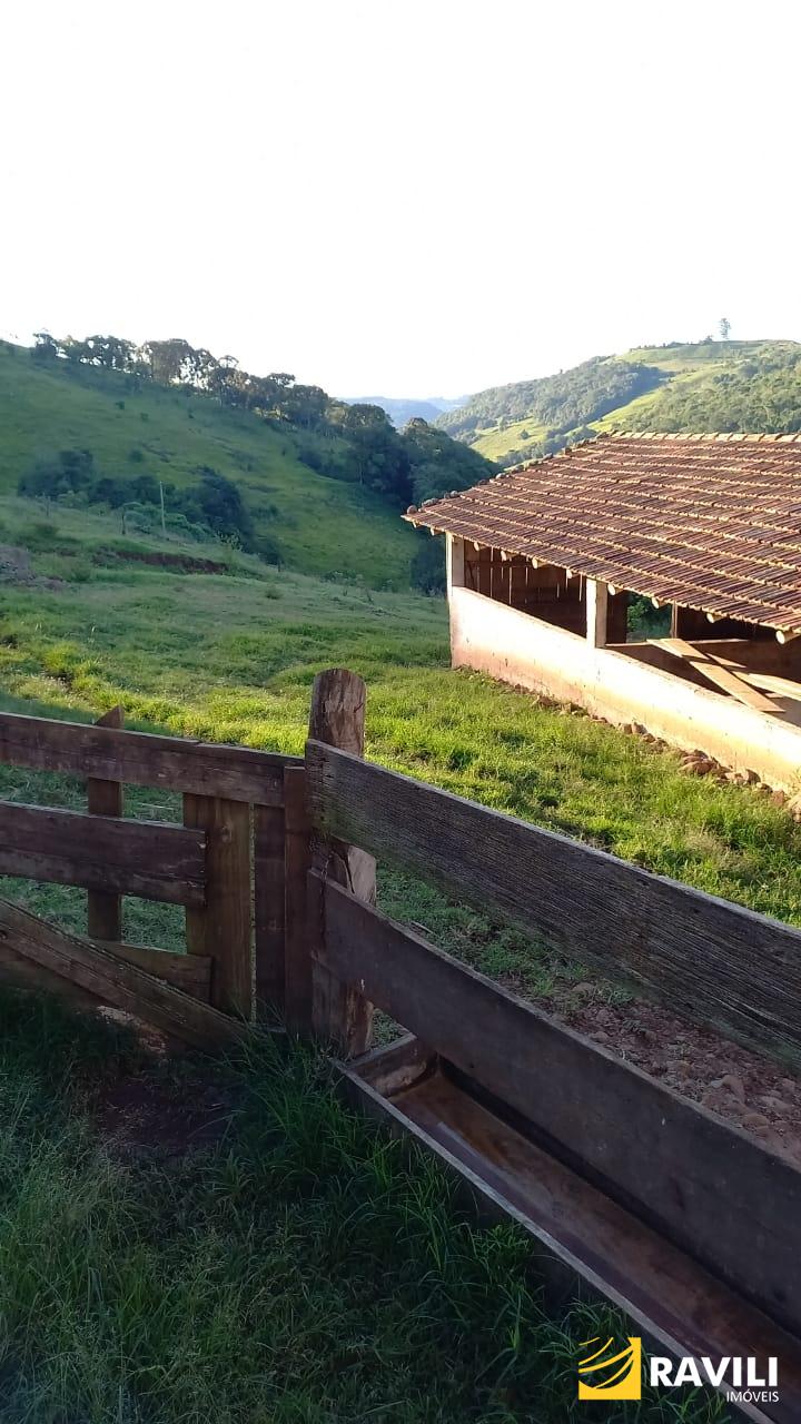 Sitio à Venda na Linha Celso Ramos Interior de Joaçaba.