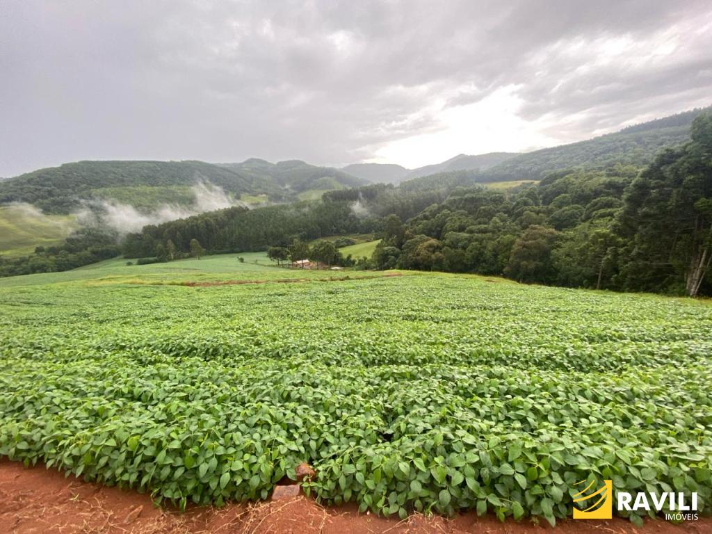 Exclusividade - Fazenda à Venda em Água Doce-SC.