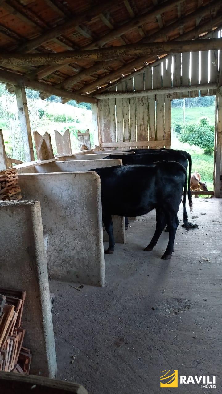 Sitio à Venda na Linha Celso Ramos Interior de Joaçaba.