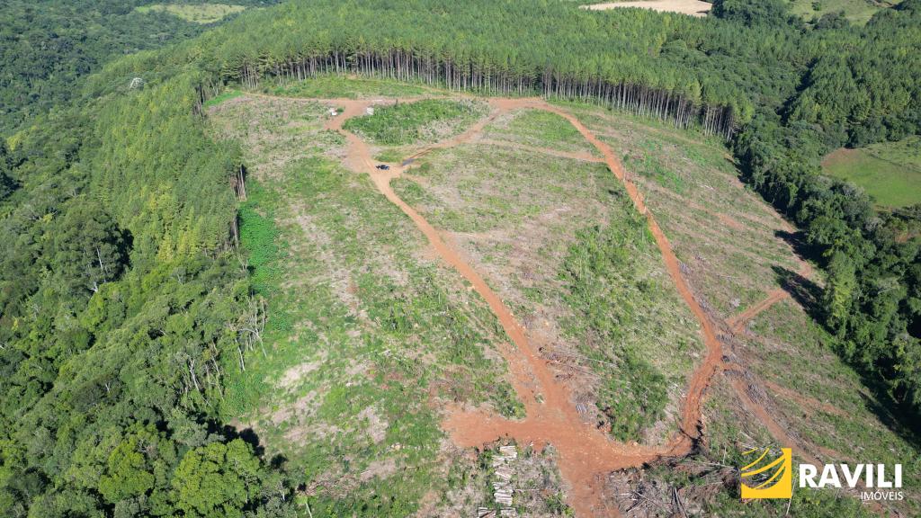 Terreno Rural à Venda em Ibicaré SC! Total de 27.7 hectares. EXCLUSIVIDADE!