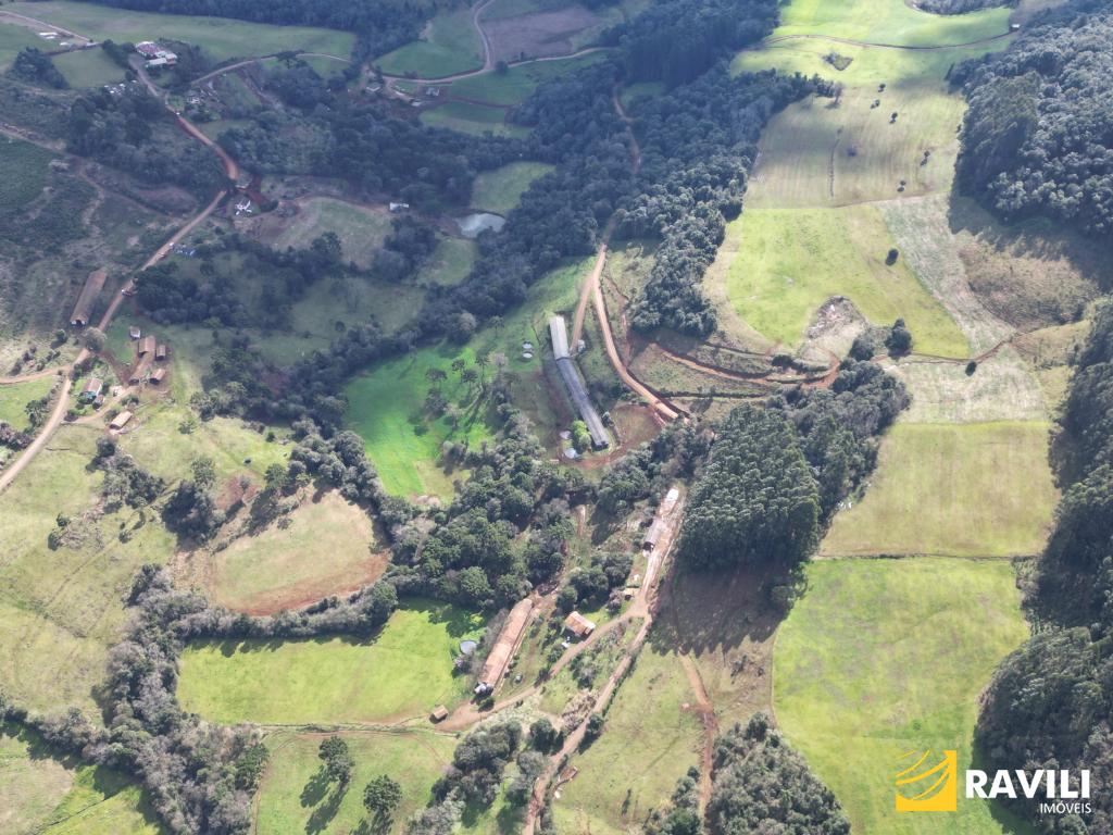 À Venda Sítio Com Uma Vasta Área de 125.964,00 m² em Lacerdópolis SC.