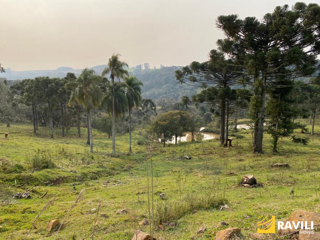 À Venda em Joaçaba, 33 Hectares Perto do Autódromo Cavalo de Aço.