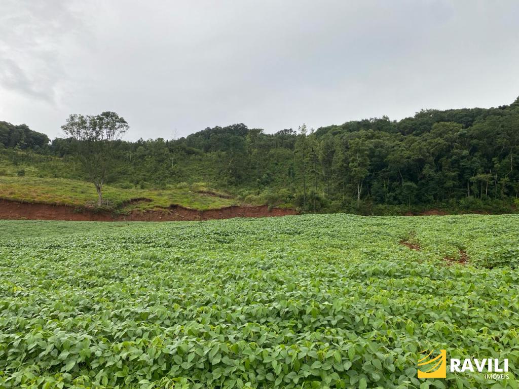 Exclusividade - Fazenda à Venda em Água Doce-SC.