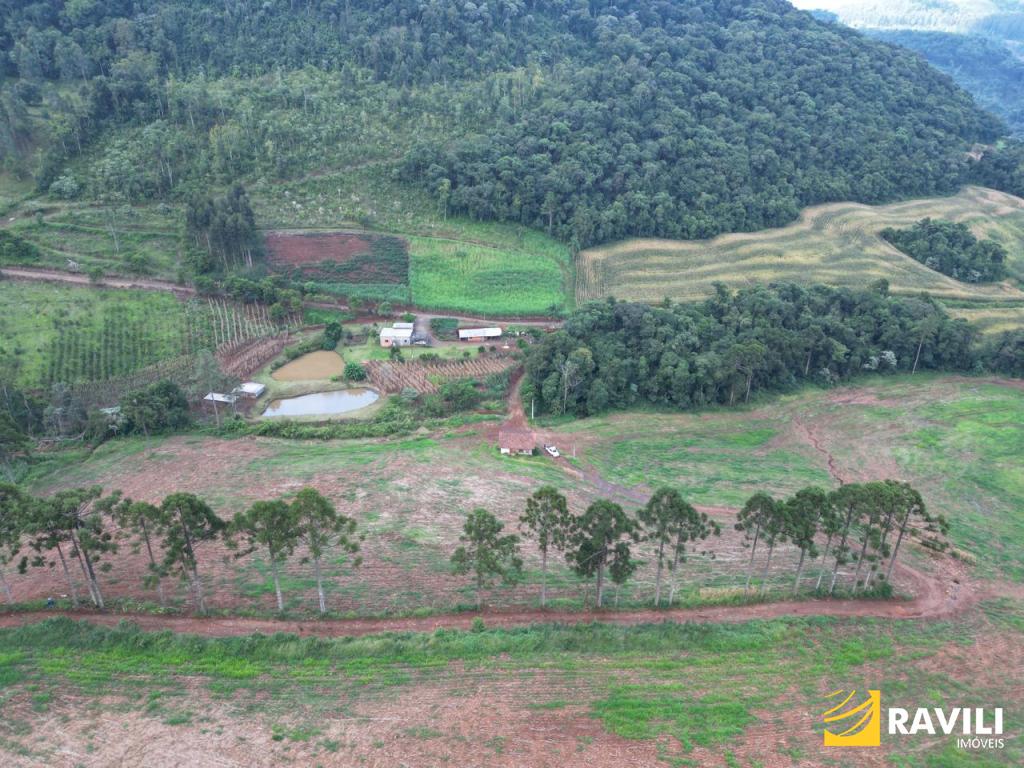 Fazenda em Luzerna com Alto Potencial Agrícola.