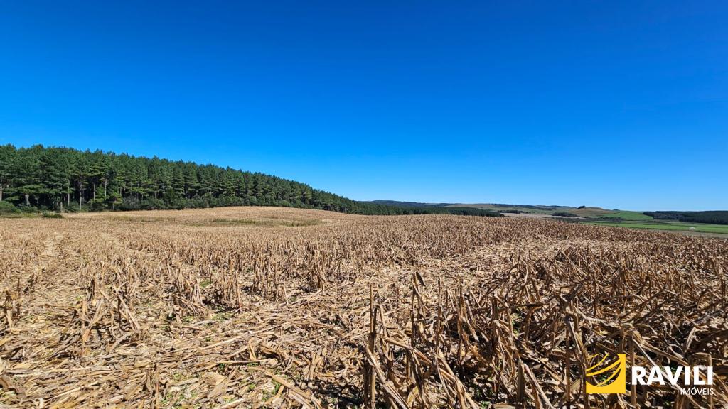 Área à Venda em Água Doce!