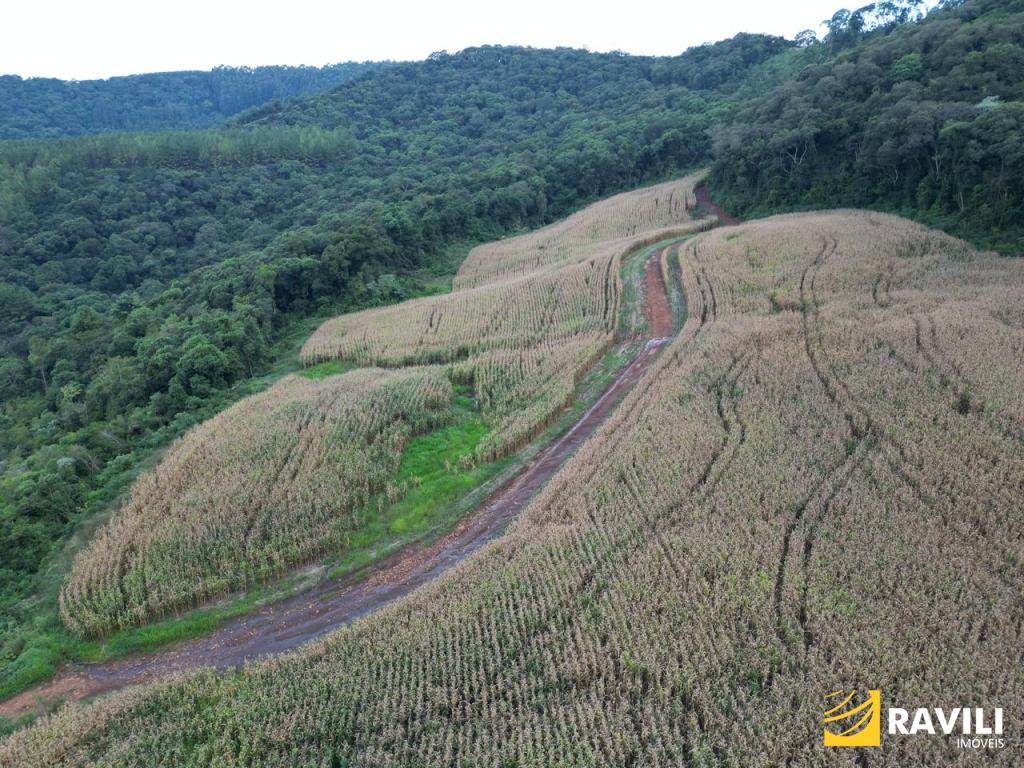 Fazenda em Luzerna com Alto Potencial Agrícola.