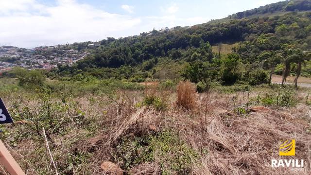 Terrenos para Venda no Loteamento Vila Germanica!