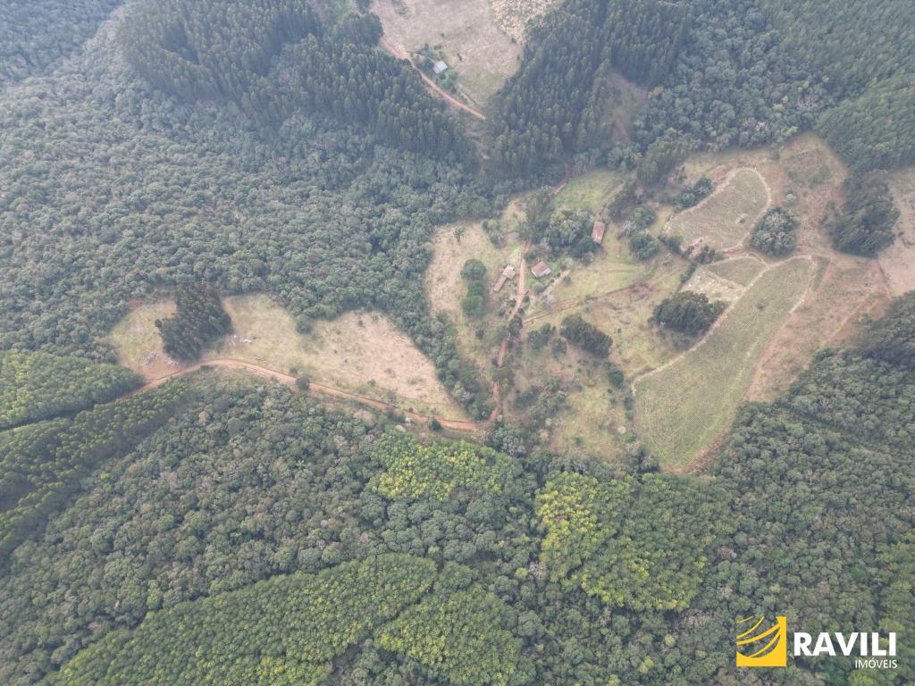 Sitio à Venda em Herval d'Oeste com 29 hectares.