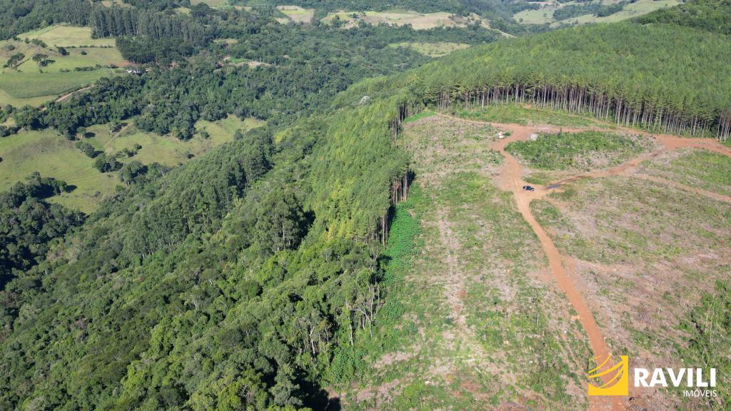 Terreno Rural à Venda em Ibicaré SC! Total de 27.7 hectares. EXCLUSIVIDADE!