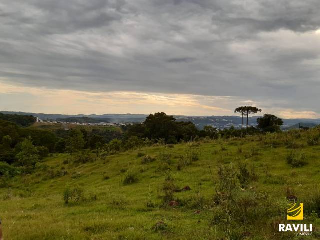 Terreno, 140.690 m², bairro Santo Antônio, Herval d Oeste/SC