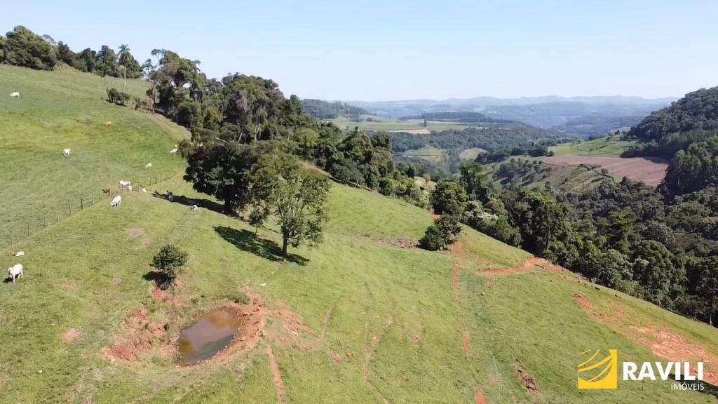 Fazenda com 145 hectares estruturada, à venda em Peritiba, SC!