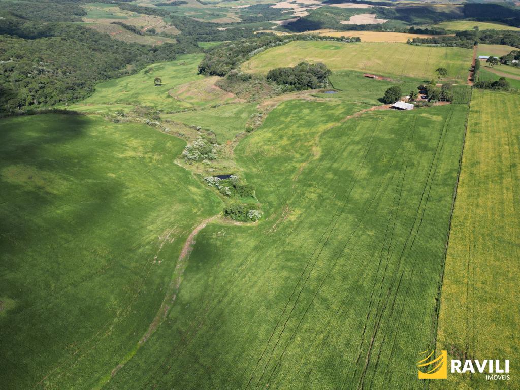 EXCLUSIVIDADE - Fazenda à Venda em Erval Velho