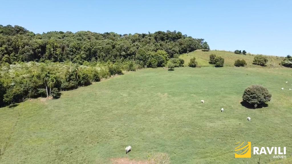 Fazenda com 145 hectares estruturada, à venda em Peritiba, SC!