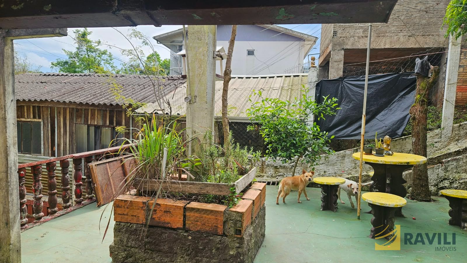 Duas Casas para venda em Terreno com 720m² - Herval D'Oeste