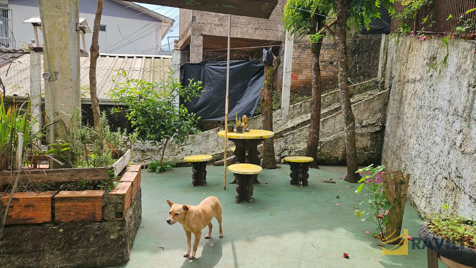Duas Casas para venda em Terreno com 720m² - Herval D'Oeste